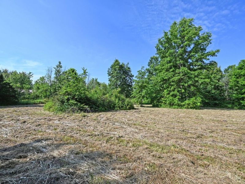 10752 Armstrong Road, Harlan Twp, OH 45162 Photo 5