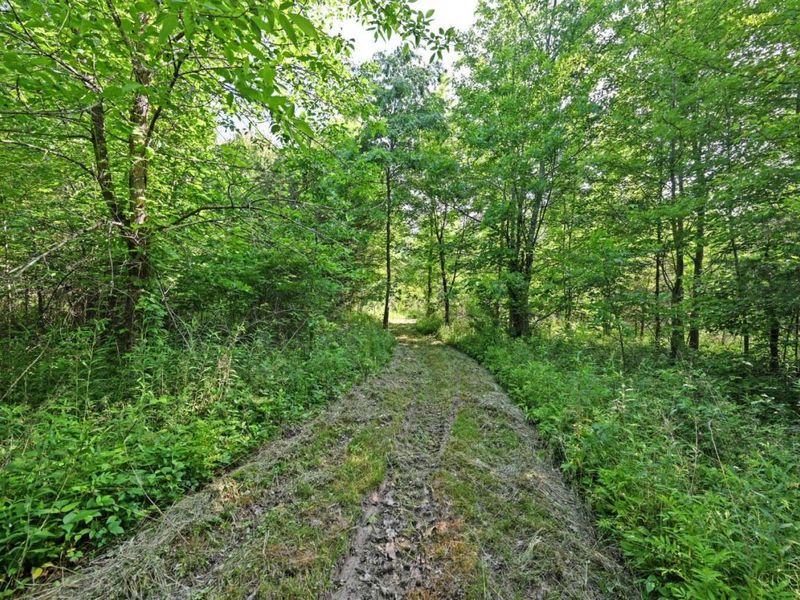 10752 Armstrong Road, Harlan Twp, OH 45162 Photo 9