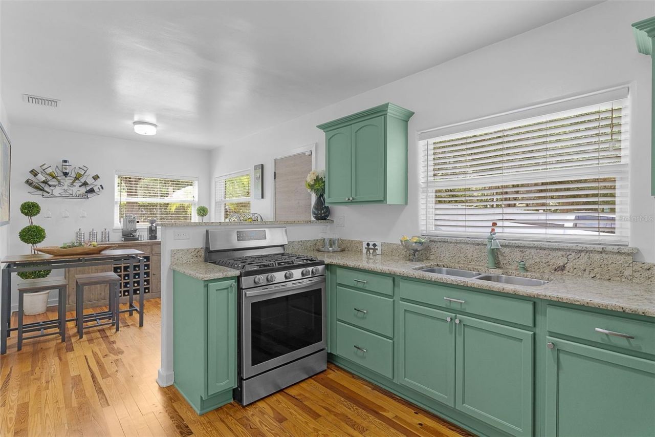 306 N Clayton Street, Mount Dora, FL 32757 Photo