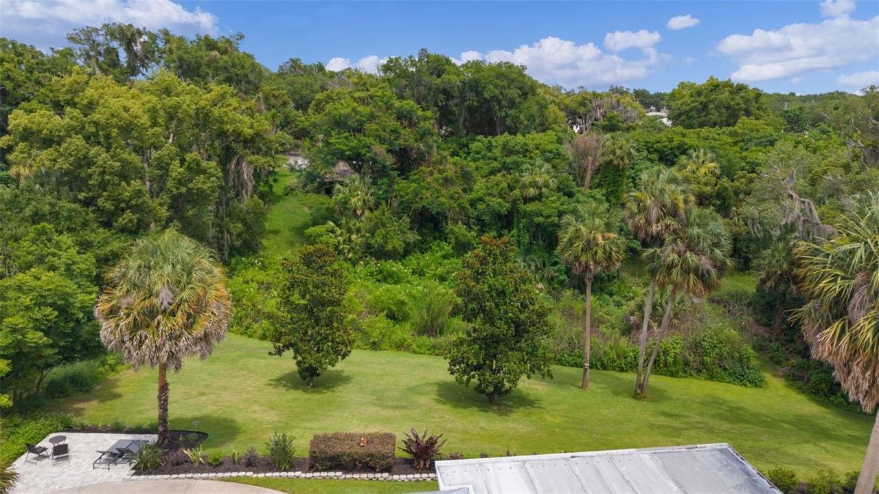 306 N Clayton Street, Mount Dora, FL 32757 Photo
