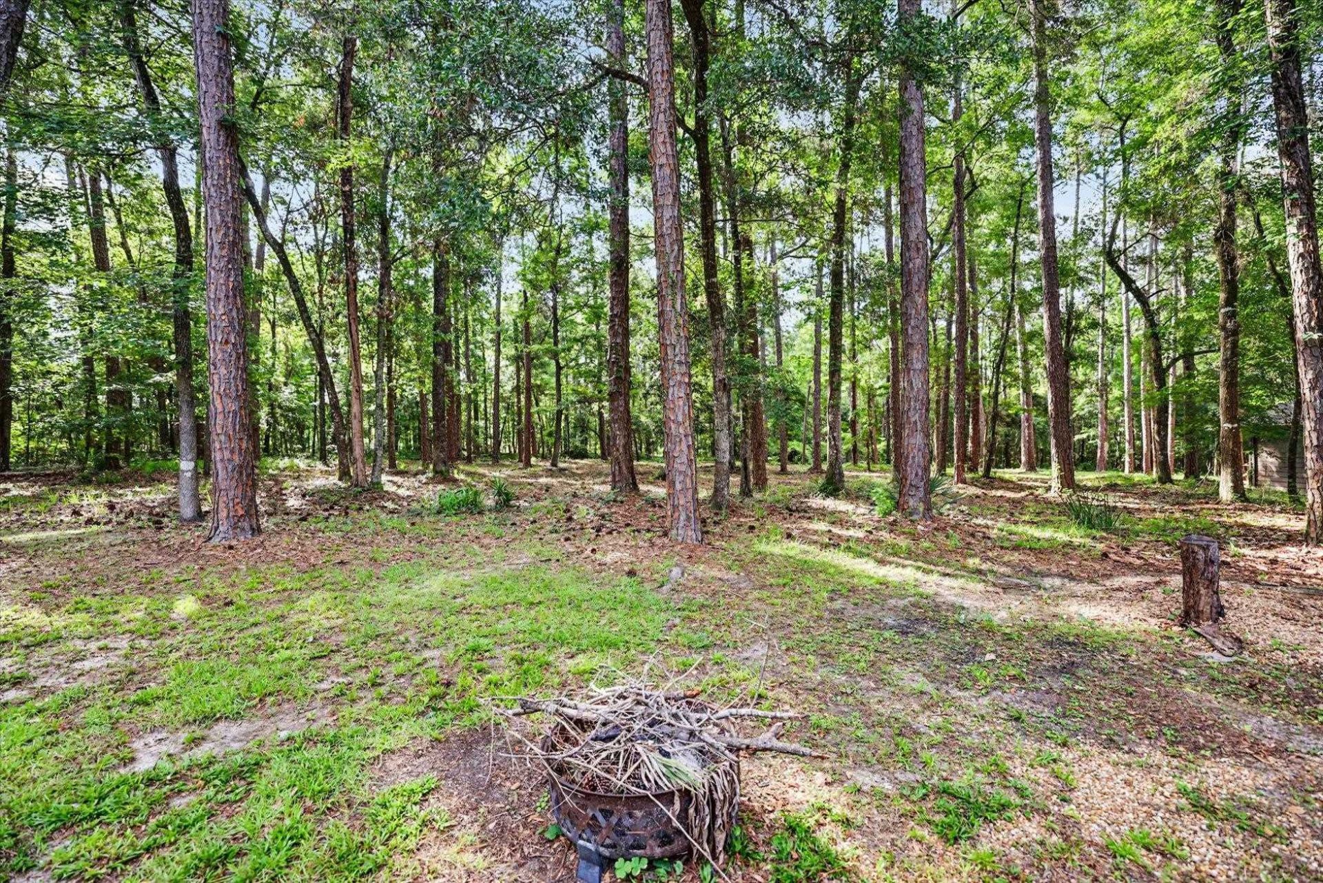 4203 Tallavana Trail, Havana, FL 32333 Photo