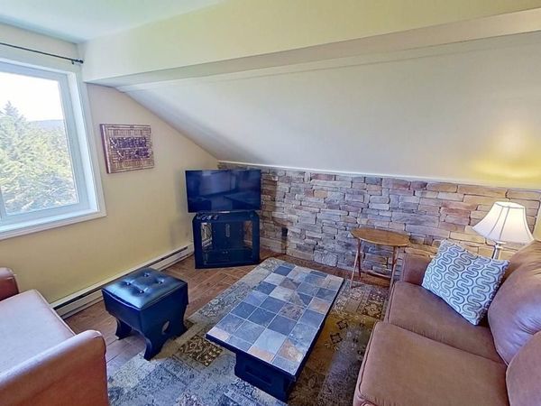 369 Mountain Lodge, Snowshoe, WV 26209
