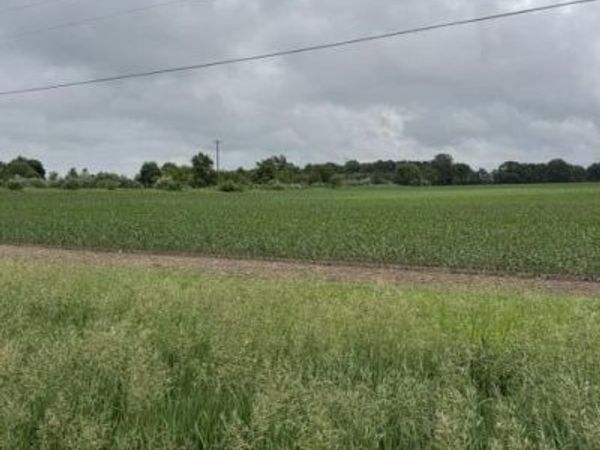 V/L Satterlee Road, Greenville, MI 48838