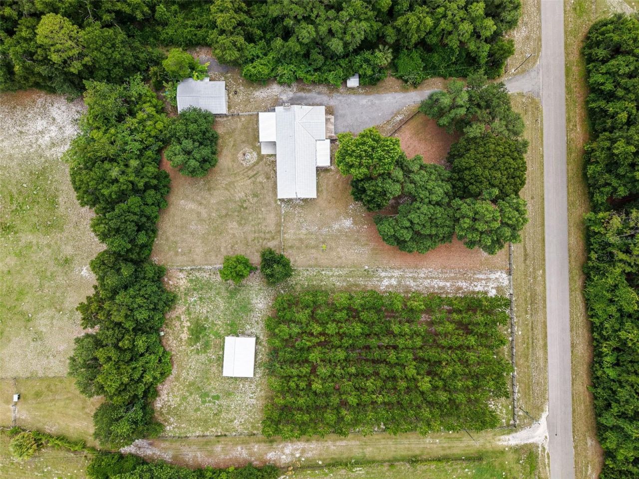 7251 NW 40th Street , Chiefland, FL 32626 Photo