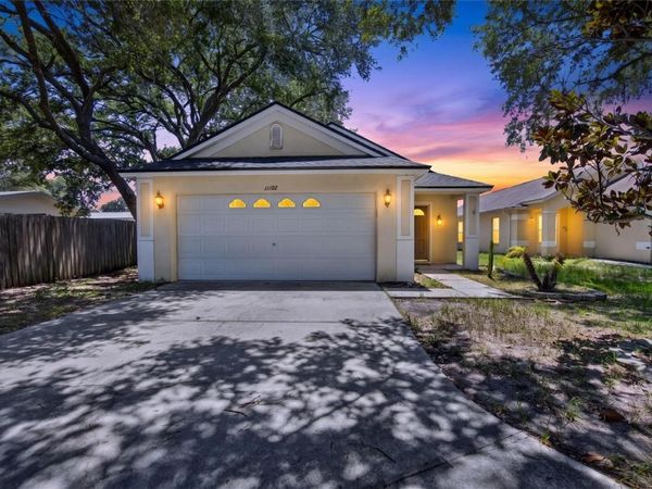 11102 ROBIN LAKE COURT , RIVERVIEW, FL 33569