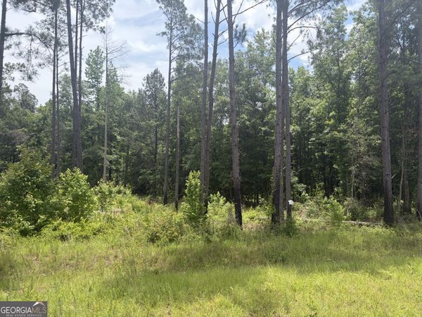1 Sunhill Grange Road, Davisboro, GA 31018