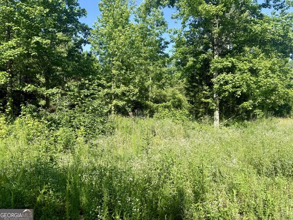 249 Weems Road, Lyerly, GA 30730