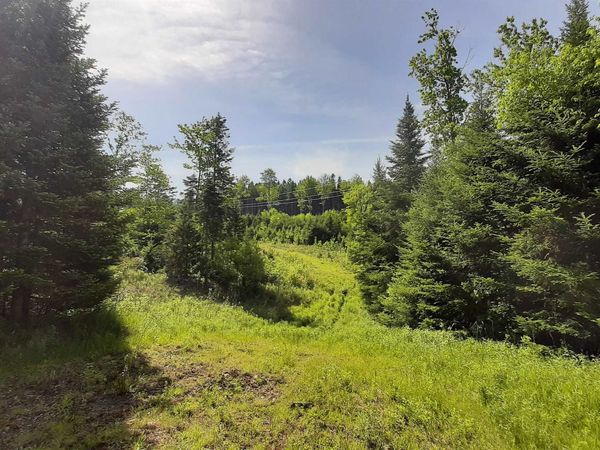 0 Summit Road, Mount Holly, VT 05758