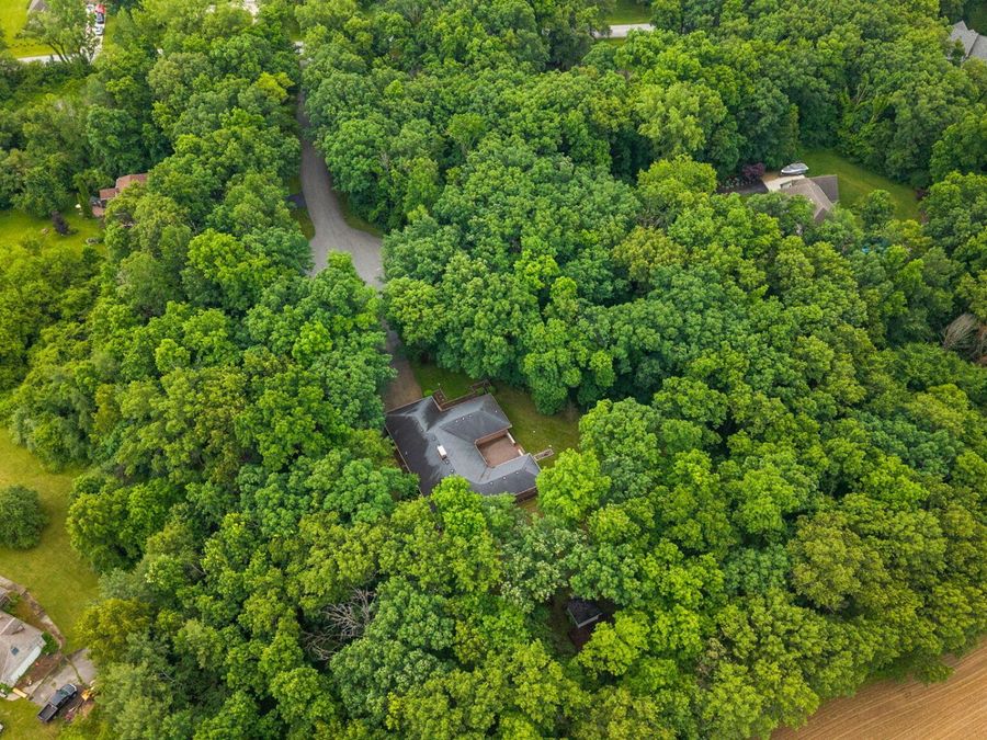 Property Image 39