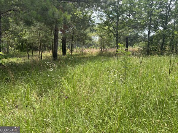 6 Sunhill Grange Road, Davisboro, GA 31018