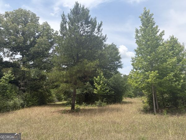 8 Sunhill Grange Road, Davisboro, GA 31018