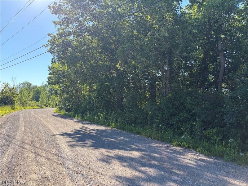 0 South Ridge Road W, Conneaut, OH 44030 Photo 3