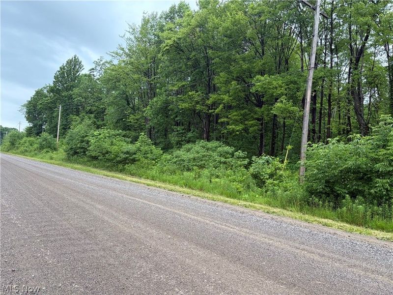 0 South Ridge Road W, Conneaut, OH 44030 Photo 6