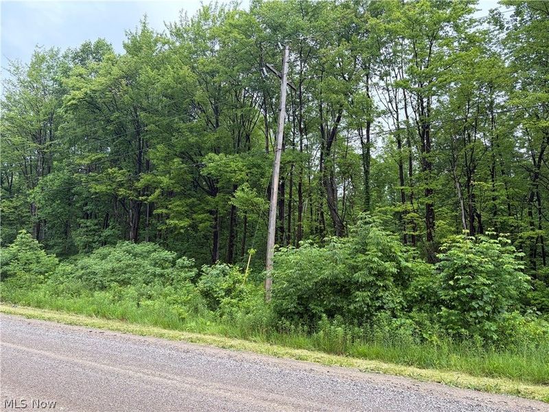 0 South Ridge Road W, Conneaut, OH 44030 Photo 7