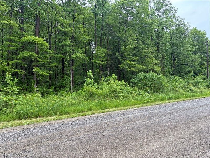 0 South Ridge Road W, Conneaut, OH 44030 Photo 8