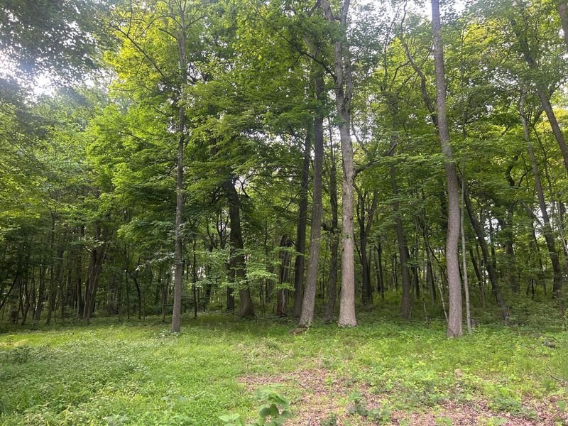 12929 Pleasant Valley Road NE, Utica, OH 43080 Photo 19
