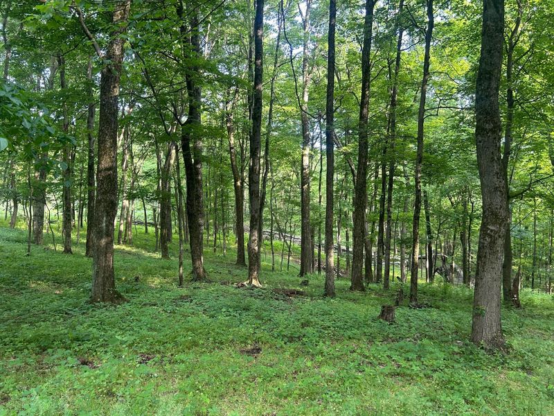 12929 Pleasant Valley Road NE, Utica, OH 43080 Photo 25