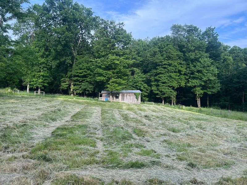 12929 Pleasant Valley Road NE, Utica, OH 43080 Photo 30