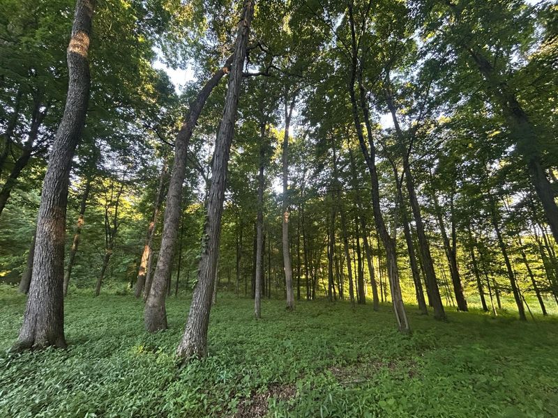 12929 Pleasant Valley Road NE, Utica, OH 43080 Photo 32