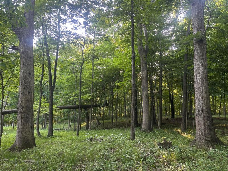 12929 Pleasant Valley Road NE, Utica, OH 43080 Photo 34