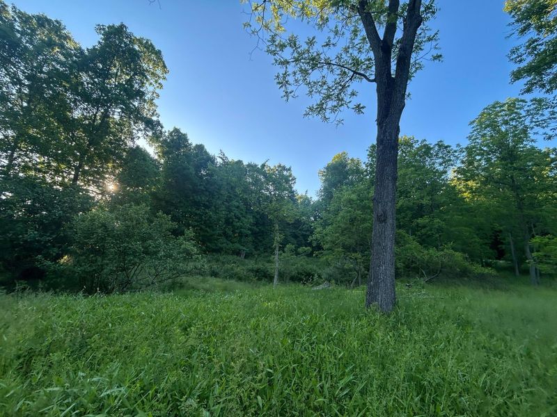 12929 Pleasant Valley Road NE, Utica, OH 43080 Photo 37