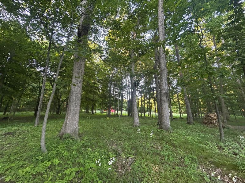 12929 Pleasant Valley Road NE, Utica, OH 43080 Photo 38