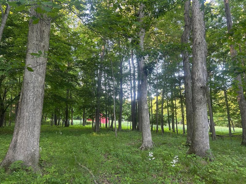12929 Pleasant Valley Road NE, Utica, OH 43080 Photo 39