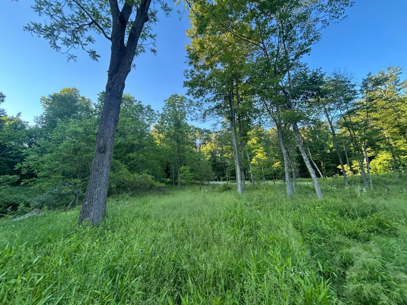12929 Pleasant Valley Road NE, Utica, OH 43080 Photo 4