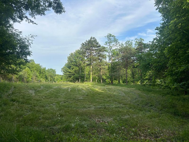 12929 Pleasant Valley Road NE, Utica, OH 43080 Photo 40