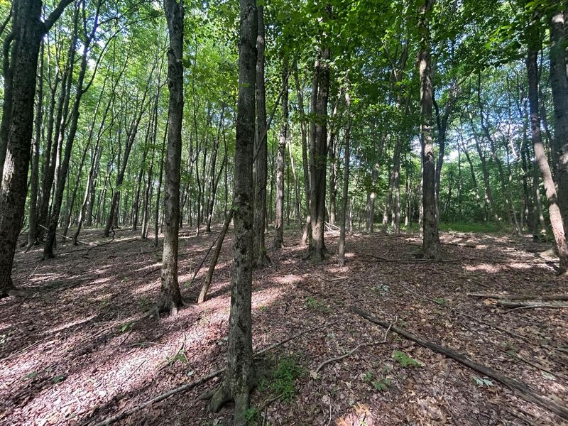 12929 Pleasant Valley Road NE, Utica, OH 43080 Photo 7