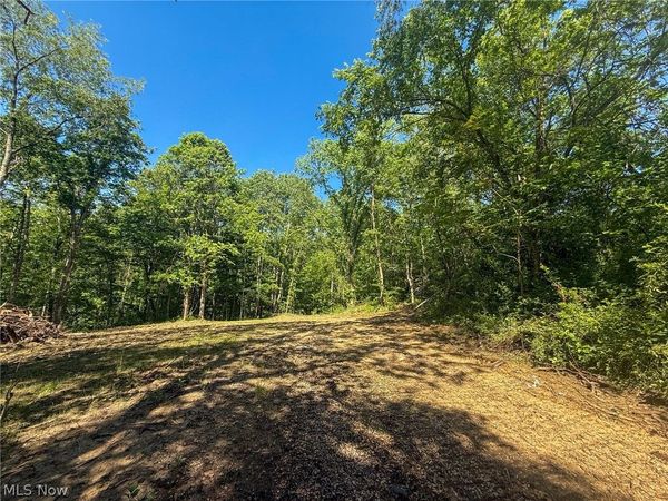 St Rt 555, Chesterhill, OH 43728