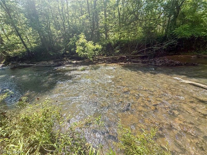 St Rt 555, Chesterhill, OH 43728 Photo 31
