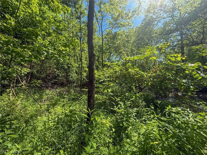 St Rt 555, Chesterhill, OH 43728 Photo 34