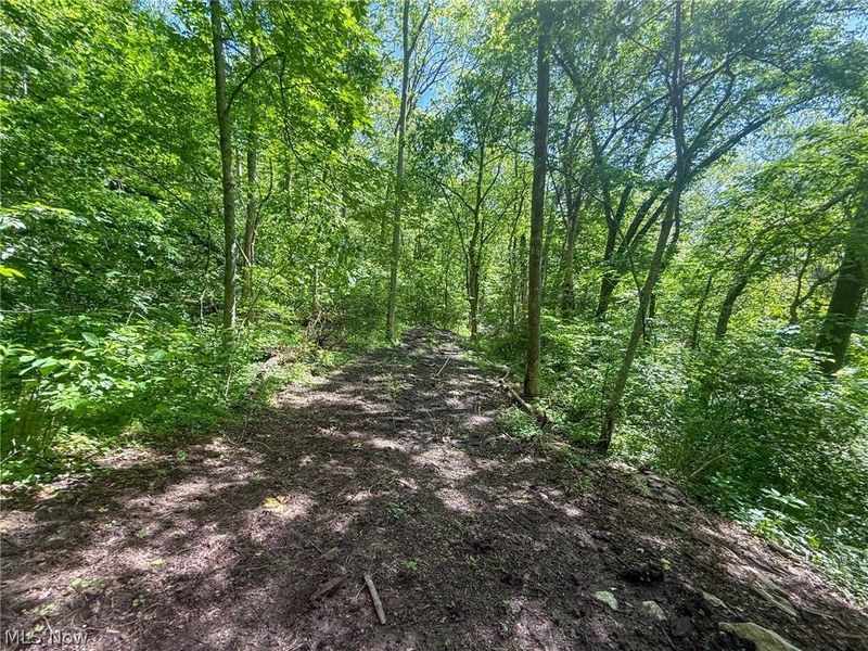St Rt 555, Chesterhill, OH 43728 Photo 38