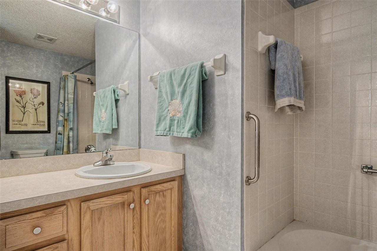 1335 Hickory Moss Place, Trinity, FL 34655 Photo