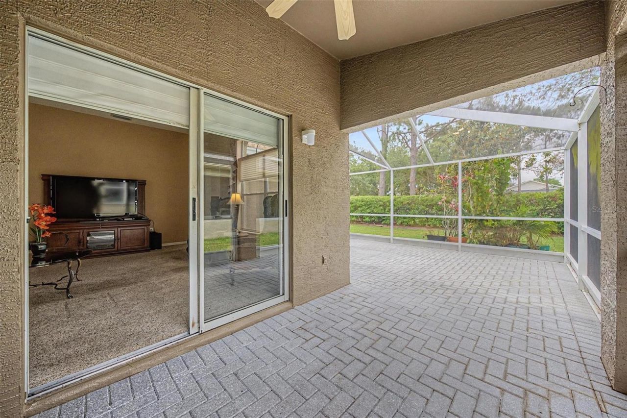 1335 Hickory Moss Place, Trinity, FL 34655 Photo