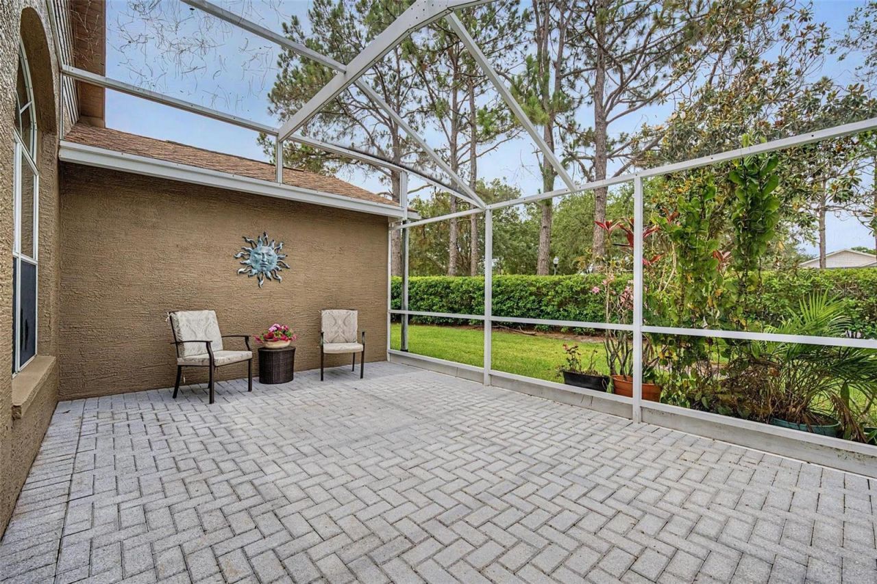 1335 Hickory Moss Place, Trinity, FL 34655 Photo