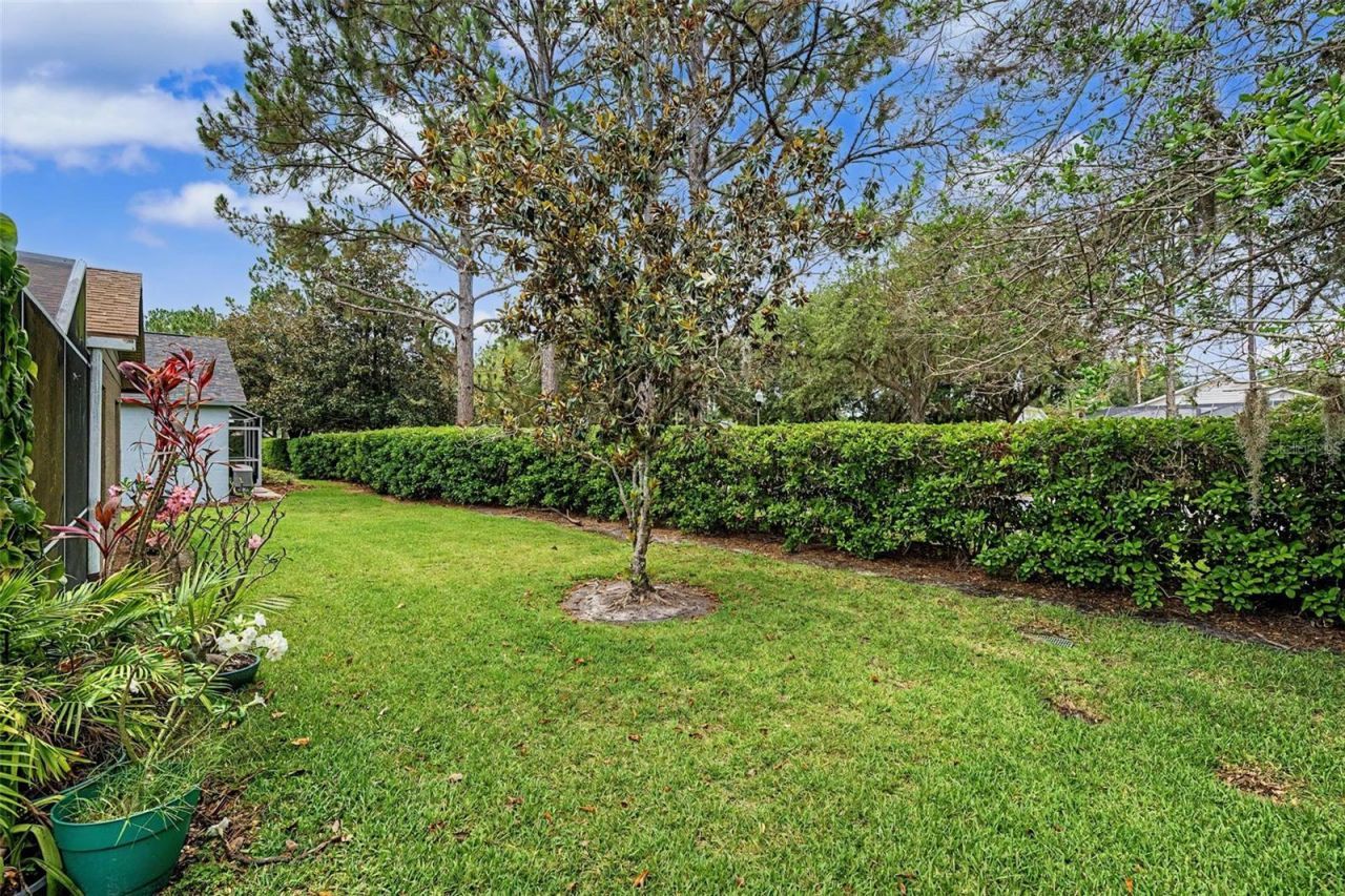 1335 Hickory Moss Place, Trinity, FL 34655 Photo