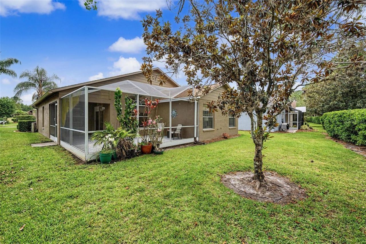1335 Hickory Moss Place, Trinity, FL 34655 Photo