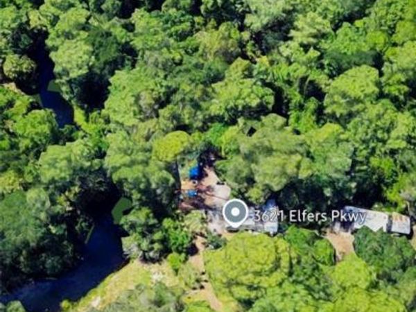 3621 ELFERS PARKWAY , NEW PORT RICHEY, FL 34655