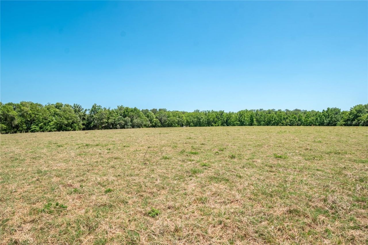 00 NW Hwy 225 , Reddick, FL 32686 Photo