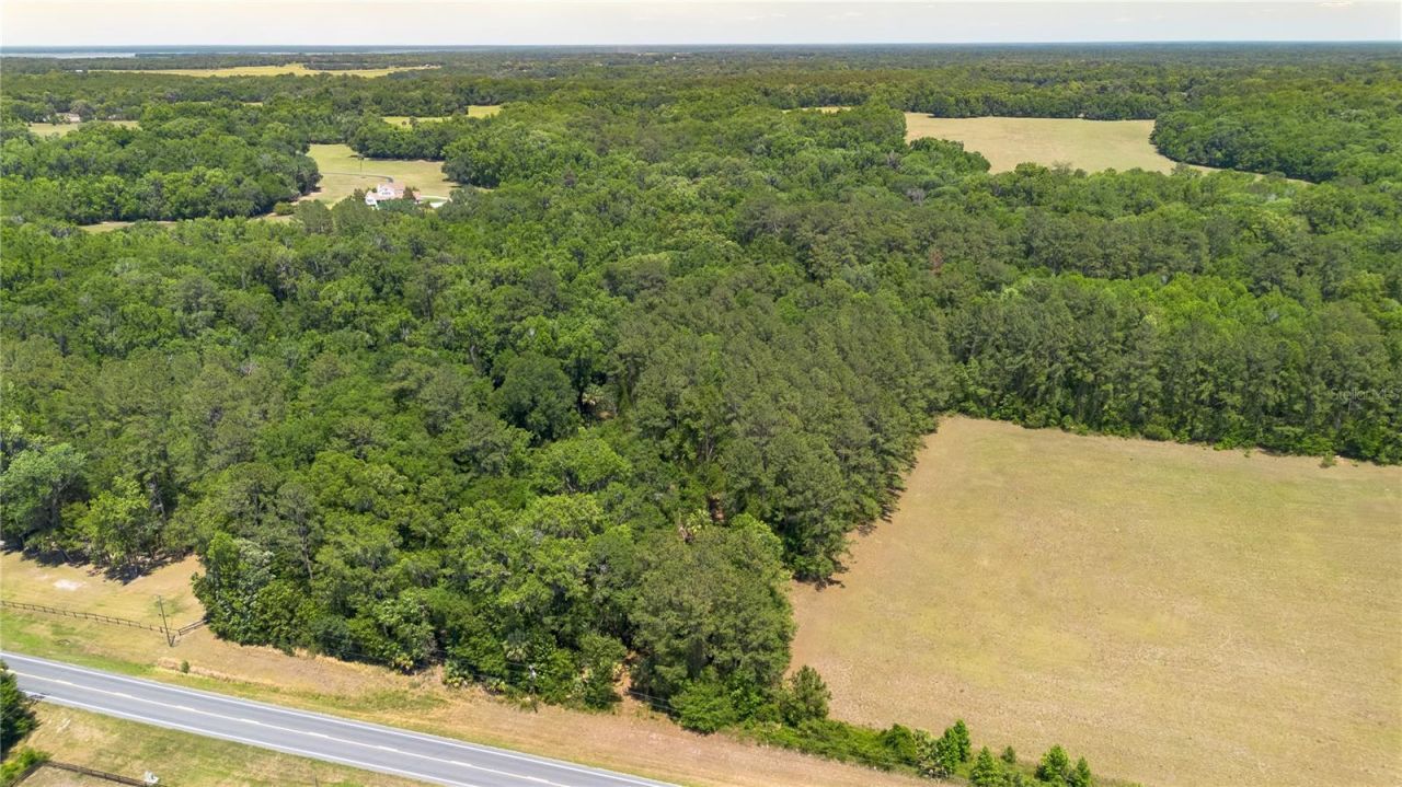 00 NW Hwy 225 , Reddick, FL 32686 Photo