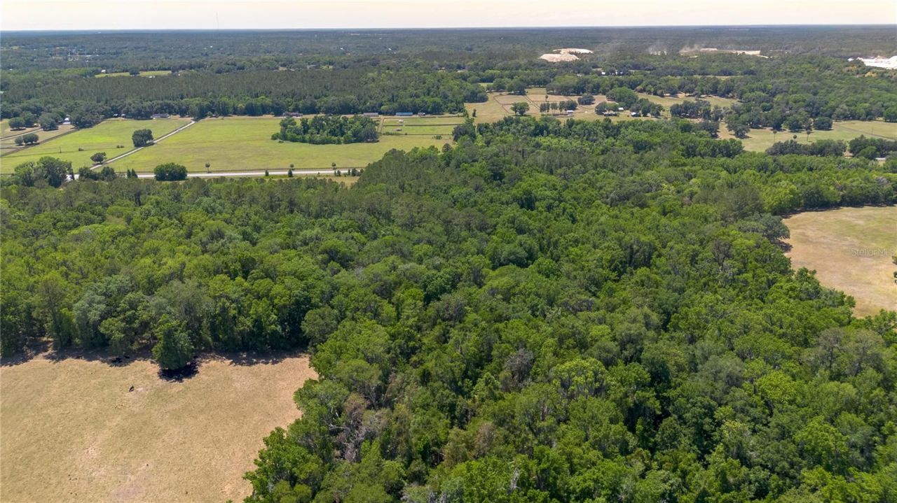 00 NW Hwy 225 , Reddick, FL 32686 Photo