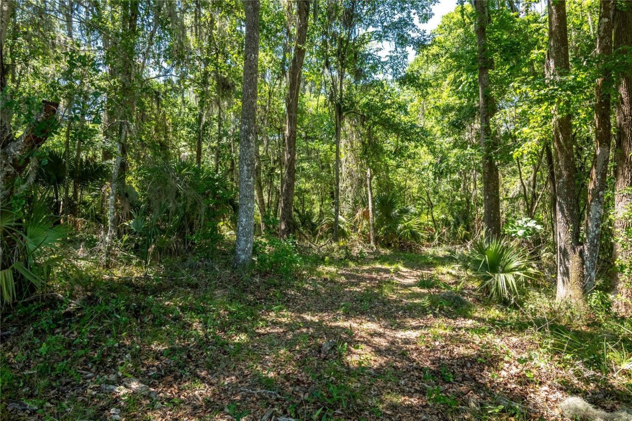 00 NW Hwy 225 , Reddick, FL 32686 Photo