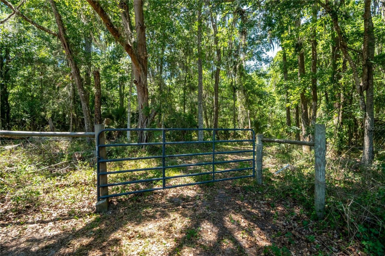 00 NW Hwy 225 , Reddick, FL 32686 Photo