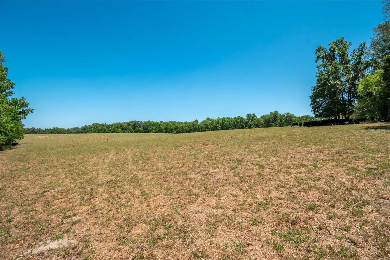00 NW Hwy 225 , Reddick, FL 32686 Photo