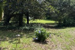 3436 Mistletoe Lane photo 4