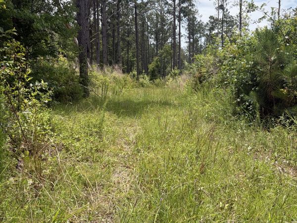 9 Sunhill Grange Road, Davisboro, GA 31018