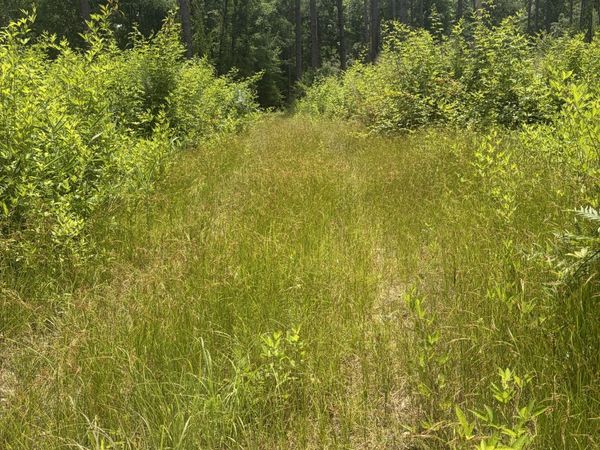 10 Sunhill Grange Road, Davisboro, GA 31018