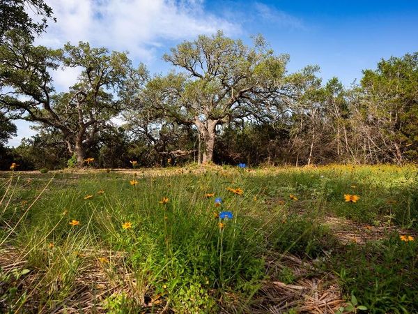 TBD Gatlin Creek RD, Dripping Springs, TX 78620